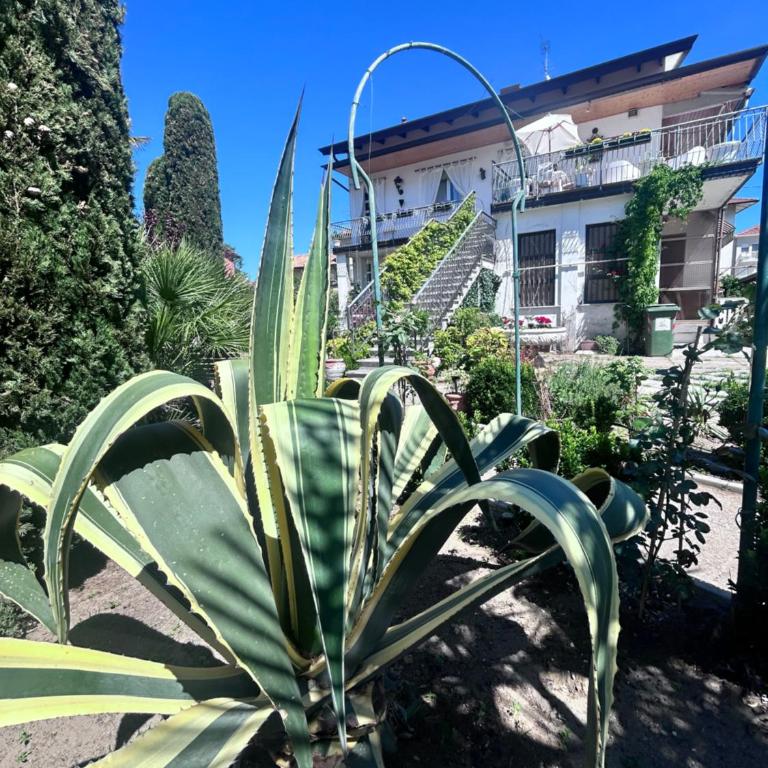 Giardino Fiorito - Appartamento con 2 Camere da Letto - 6