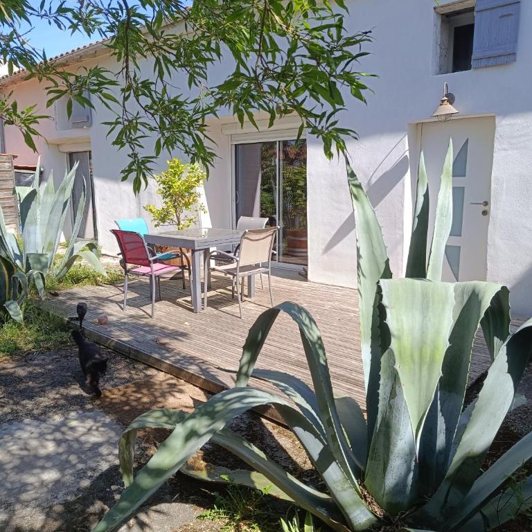 Villa atypique climatisée avec piscine chauffée - Villa - 1