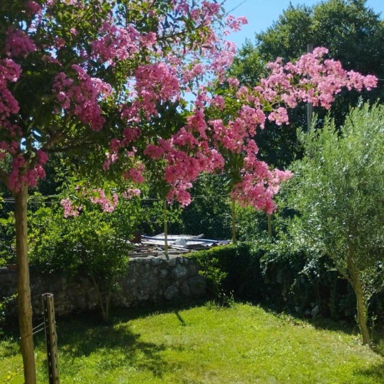 Stone Holiday House, Trebinje - Kuća sa 1 Spavaćom Sobom - 7