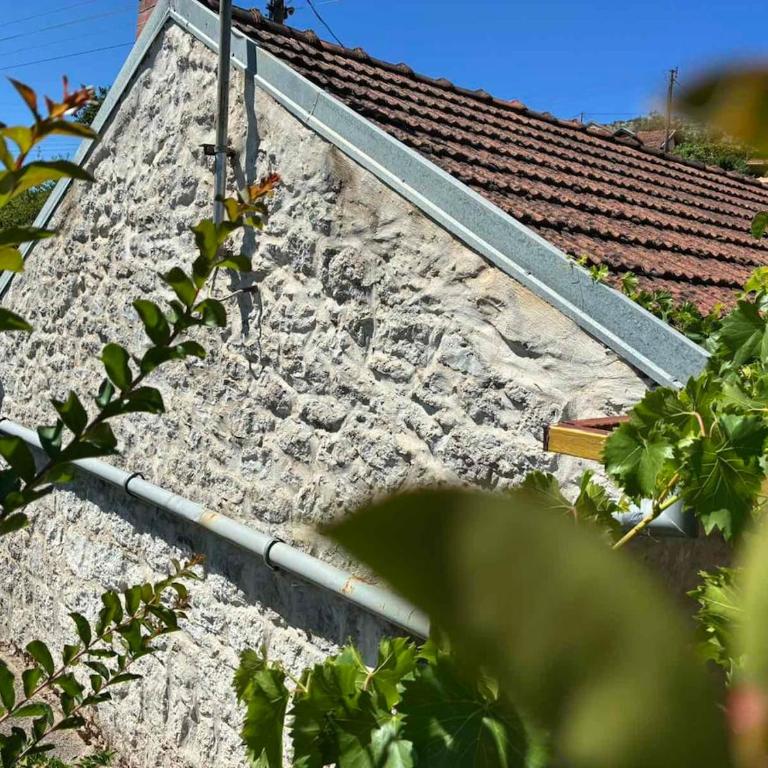 Stone Holiday House, Trebinje - Kuća sa 1 Spavaćom Sobom - 25