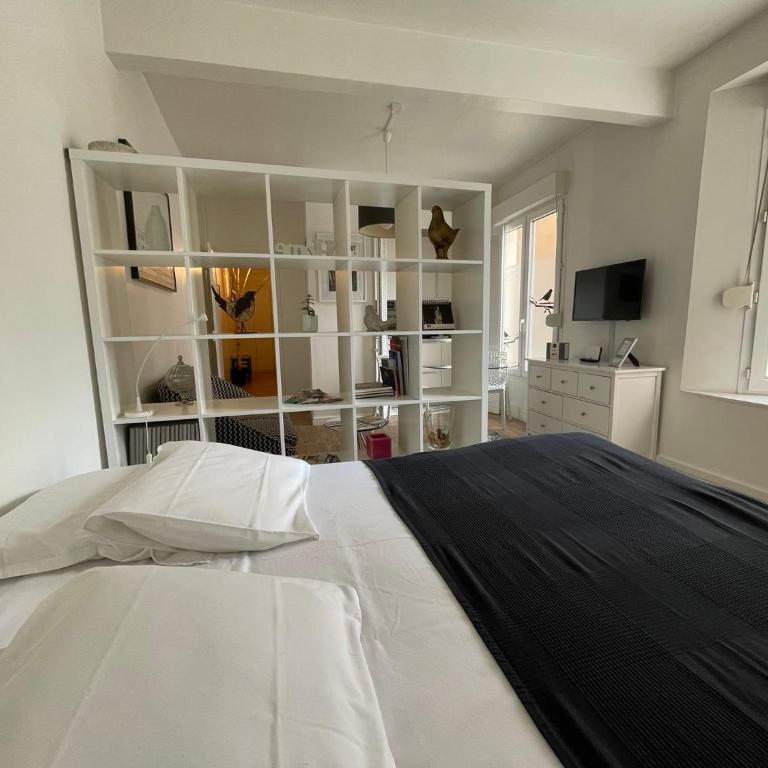 LE NID DES HALLES, Centre Reims, Boulingrin - Studio Lit Queen-Size - 5