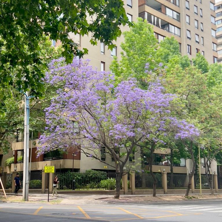 Apartamento amoblado en Las Condes, Santiago - Two-Bedroom Apartment - 29