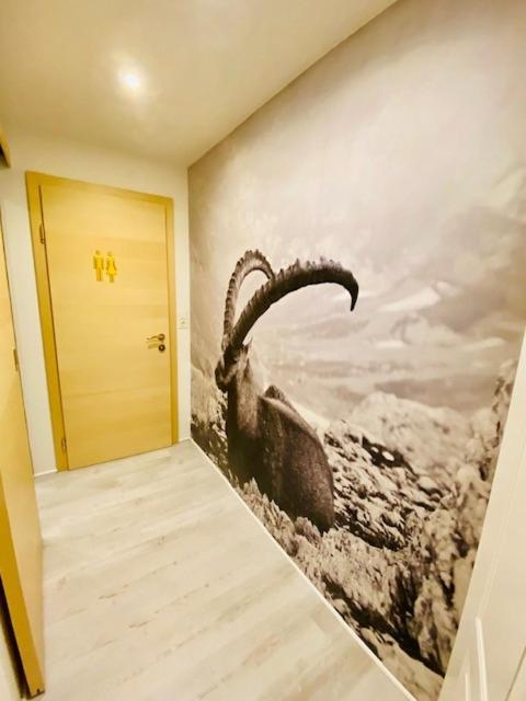 Wilderer Suiten Mariazell - Suite Junior – Vue sur Montagne - 16