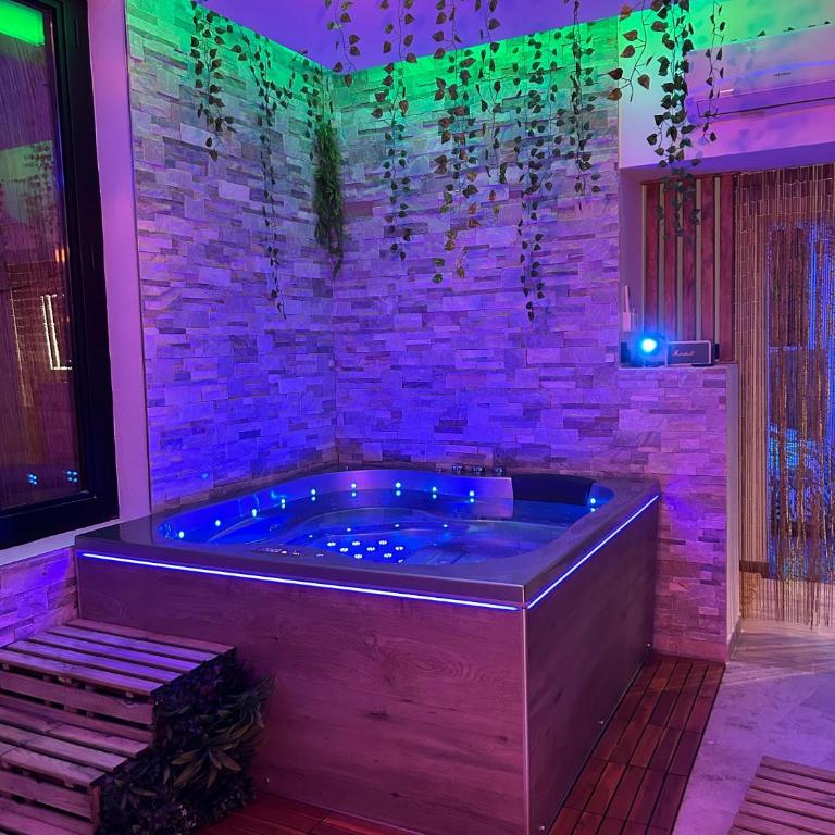 Love room - Jacuzzi - Netflix - Clim - 3min train station - One-Bedroom Apartment - 10