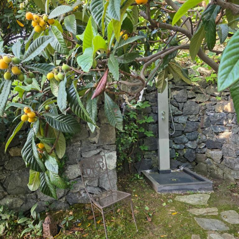 Villa Cokkinis fronte mare con ampio giardino - Villa con 3 Camere da Letto - 8