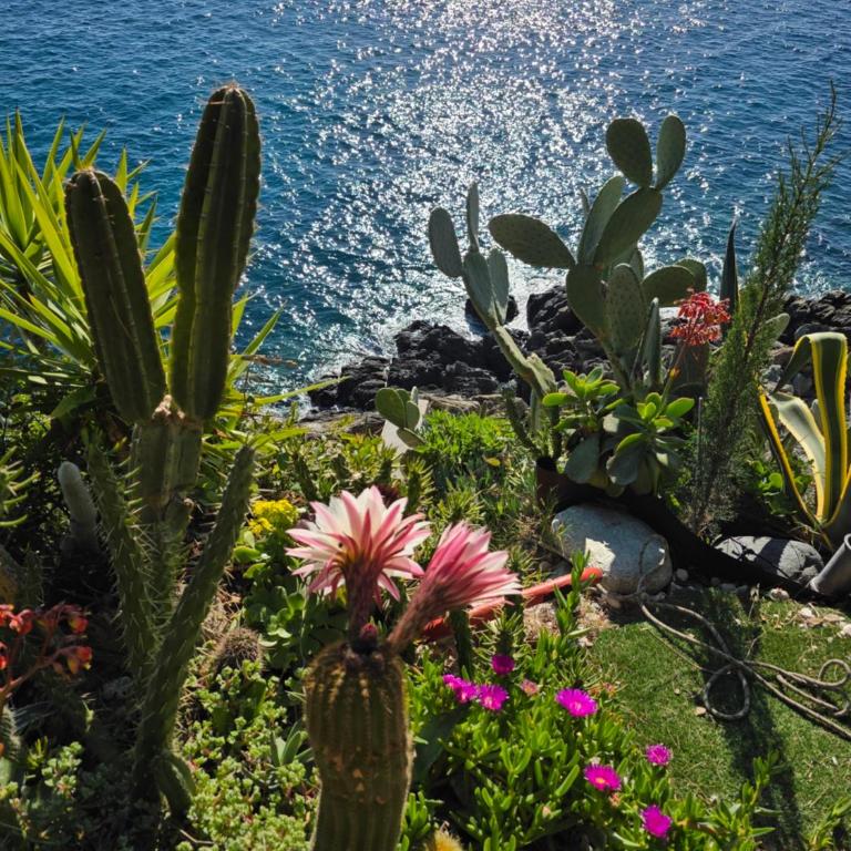 Villa Cokkinis fronte mare con ampio giardino - Villa con 3 Camere da Letto - 7