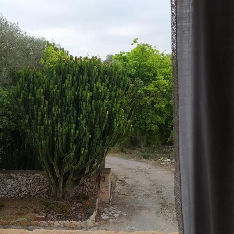 Ses Cases Noves de Campos - Four-Bedroom House - 24