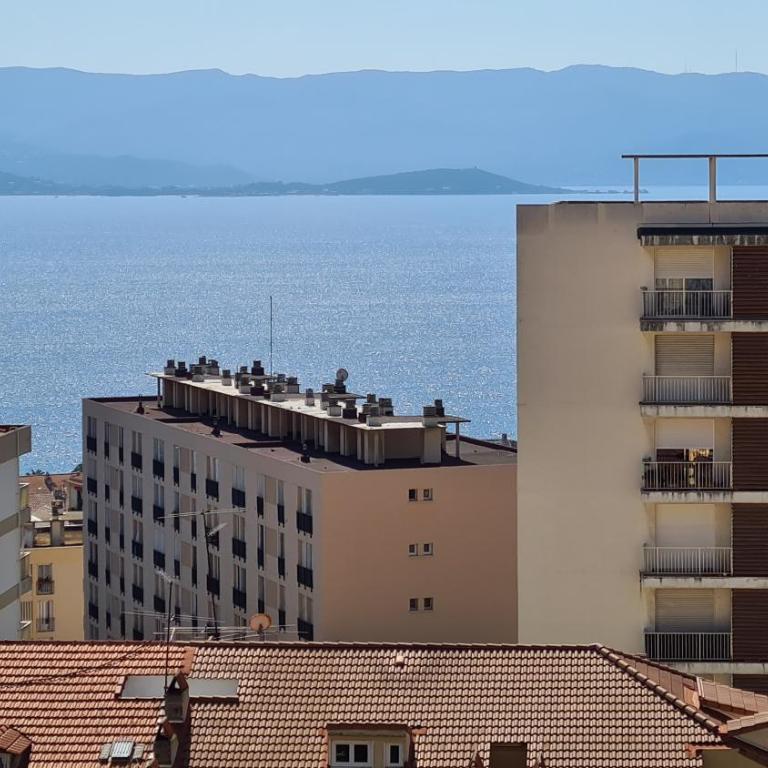 Appartement T3 Centre ville - Apartamento de 2 dormitorios - 1