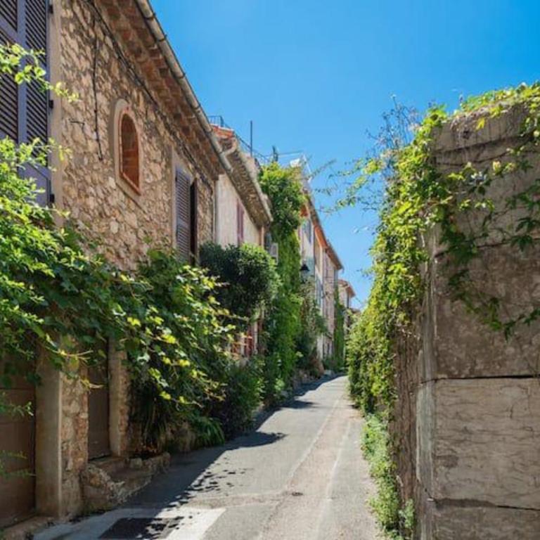 Viel Antibes - T2 rénové & cosy - Appartement - 5