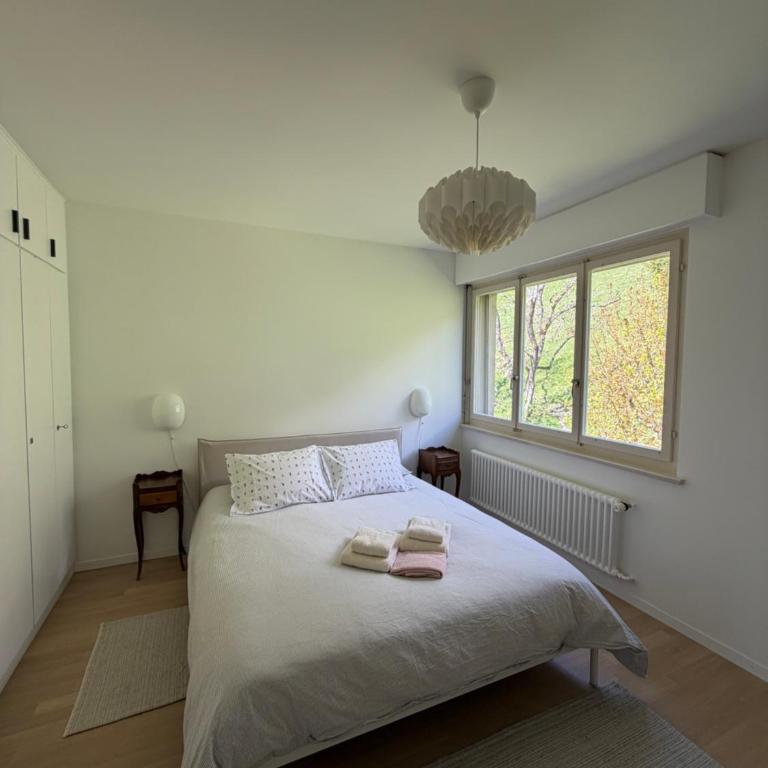 Pine Perch - 5 Min to Ski Pistes, Central Leysin, Mountain View - One-Bedroom Apartment with Balcony and Mountain View - 9