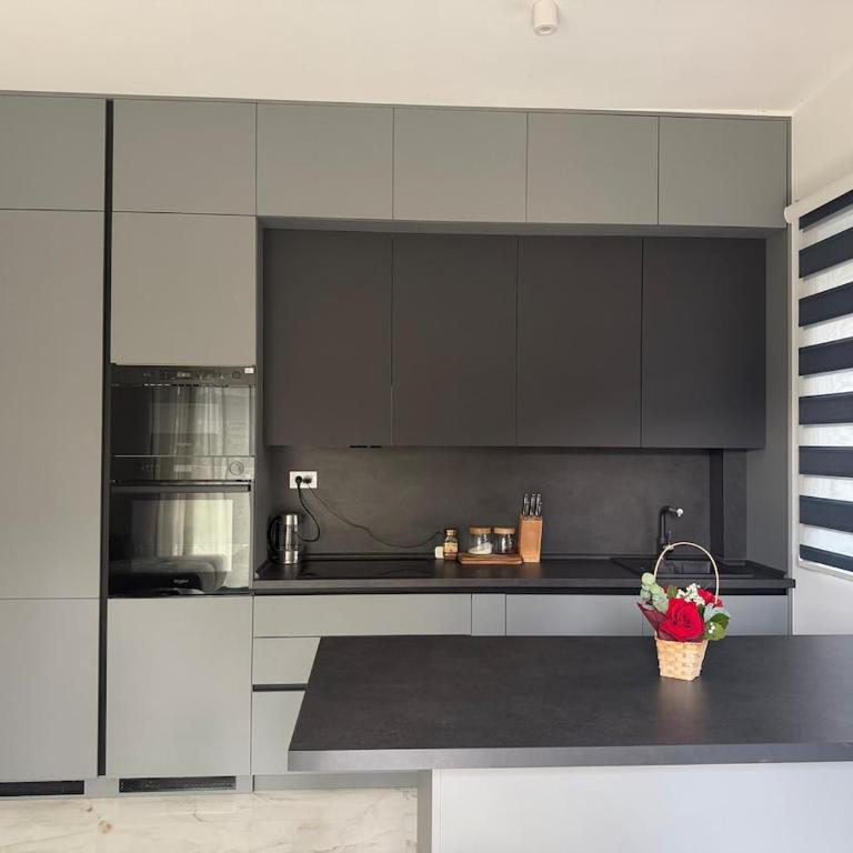 One bedroom apartment with patio and parking - One-Bedroom Apartment - 6