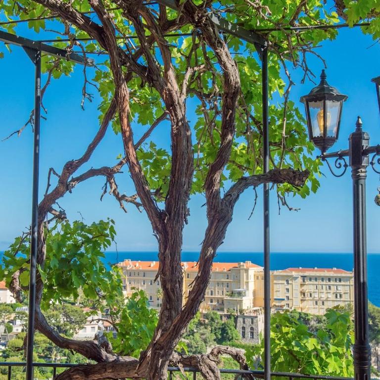 Duplex with ocean view Parking - Maison 2 Chambres - 13
