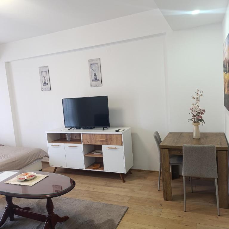 Studio Apartman Trebinje - Apartman sa 1 Spavaćom Sobom - 11
