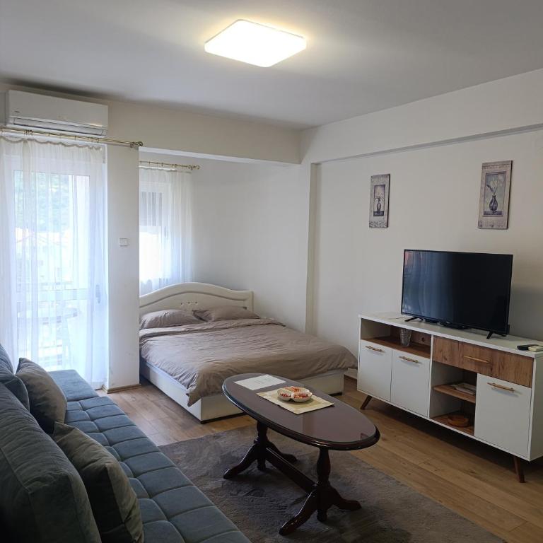 Studio Apartman Trebinje - Apartman sa 1 Spavaćom Sobom - 7