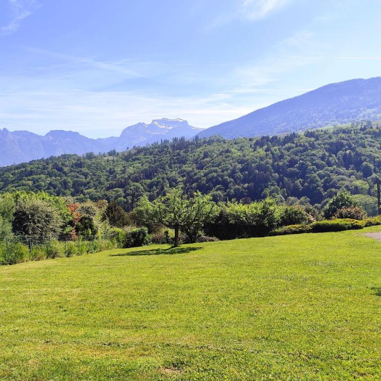 Large 2 Bedroom apartment with lake view & garden - Appartement 2 Chambres - 29