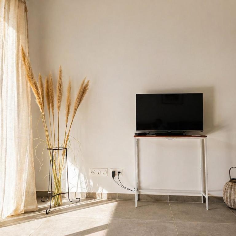 Casa Loubet - Rez-de-jardin avec piscine rooftop, salle de sport & parking privé - BY AURAconciergerie - Apartamento de 1 dormitorio con jardín - 18
