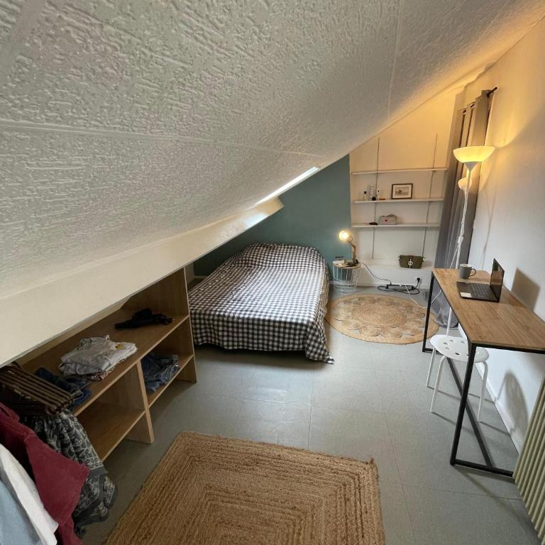 Hypercentre Angers, lumineux T3 de 50m2, bon plan - 2 chambres - Appartement 2 Chambres - Vue sur Ville - 6