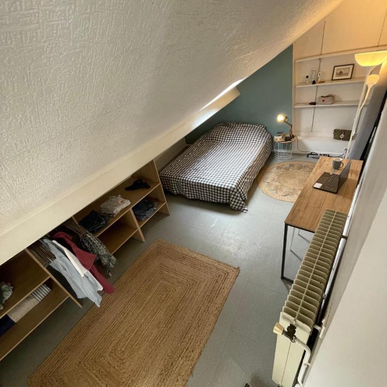 Hypercentre Angers, lumineux T3 de 50m2, bon plan - 2 chambres - Appartement 2 Chambres - Vue sur Ville - 5