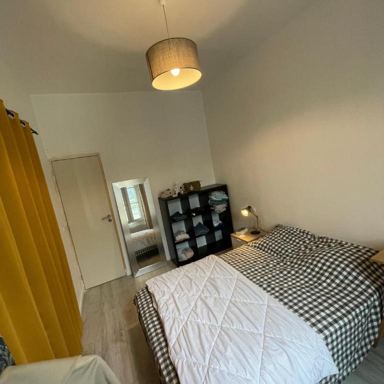 Hypercentre Angers, lumineux T3 de 50m2, bon plan - 2 chambres - Appartement 2 Chambres - Vue sur Ville - 4