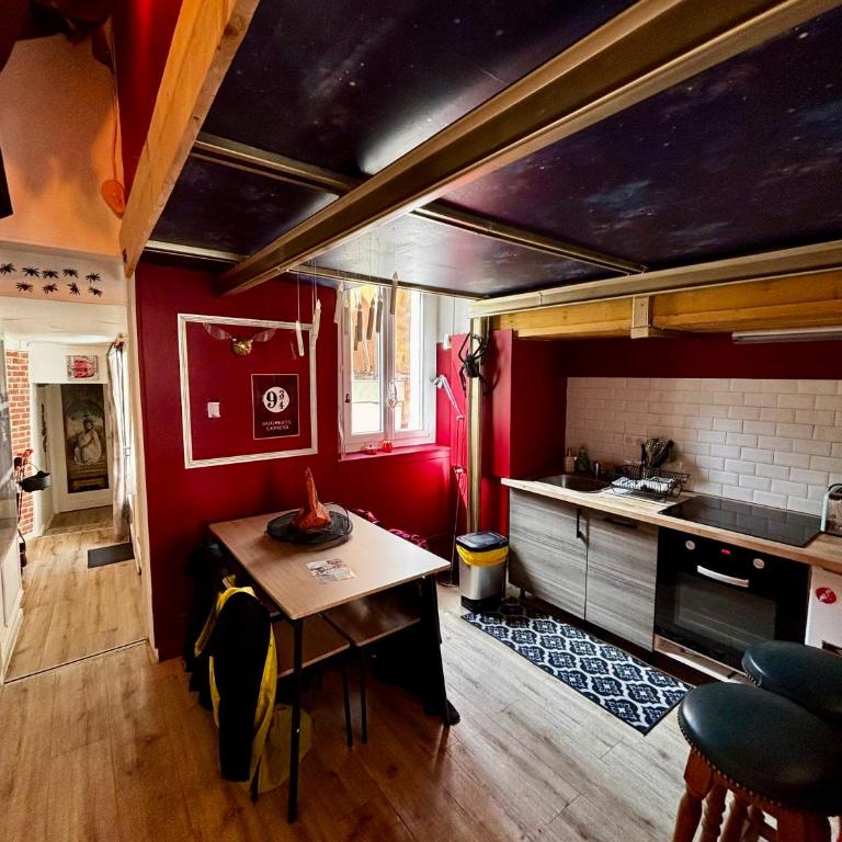 Appartement magique des sorciers , centre historique Dijon - Appartement 2 Chambres - 13