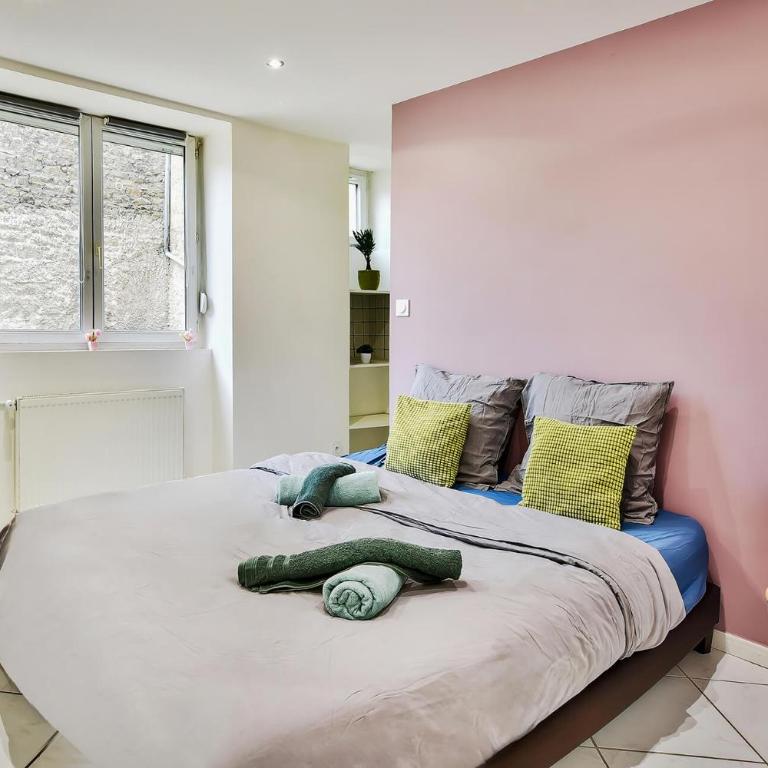 Appartement avec cour privative à Saint-Étienne - Appartement 1 Chambre avec Terrasse - 2
