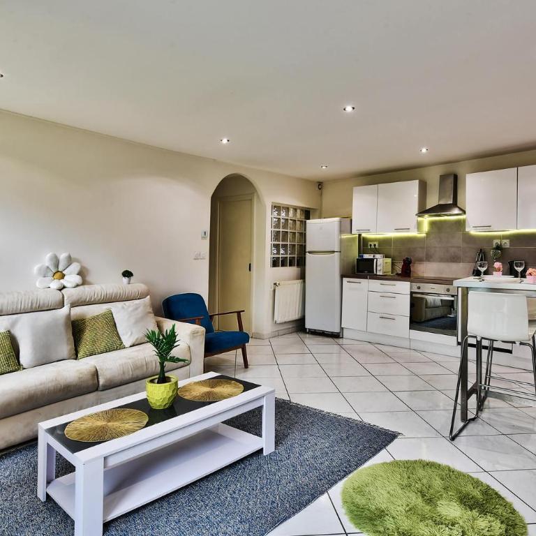 Appartement avec cour privative à Saint-Étienne - Appartement 1 Chambre avec Terrasse - 14