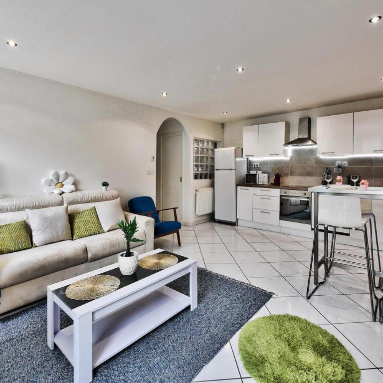 Appartement avec cour privative à Saint-Étienne - Appartement 1 Chambre avec Terrasse - 17