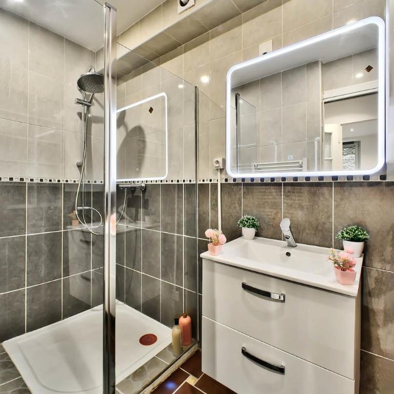 Appartement avec cour privative à Saint-Étienne - Appartement 1 Chambre avec Terrasse - 19