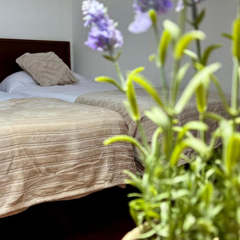 Apartamento Centro y Mar en Llanes - Apartment - 12