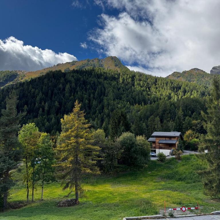 Mon Nid Alpin - Appartement 2 Chambres - 25