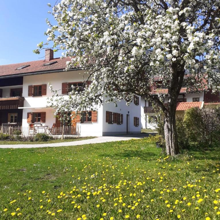 Hartmann´s Nescht - Apartment mit 1 Schlafzimmer und Terrasse - 16