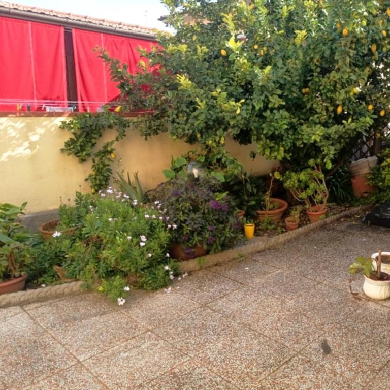 Montecristo 20 - Appartamento con 1 Camera da Letto - 9