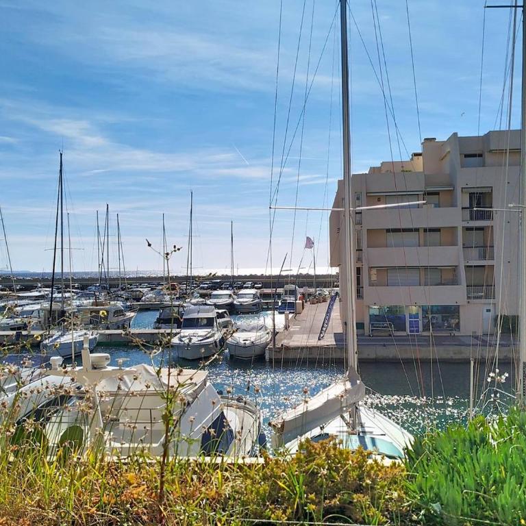 T2 climatisé avec piscine, parking - Bormes-les-Mimosas - FR-1-610-6 - Apartment (4 Adults) - 1