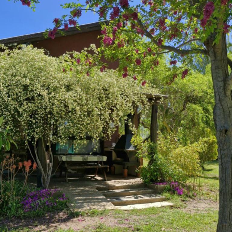 LAS GARDENIAS Cabañas - One-Bedroom Cottage - 8