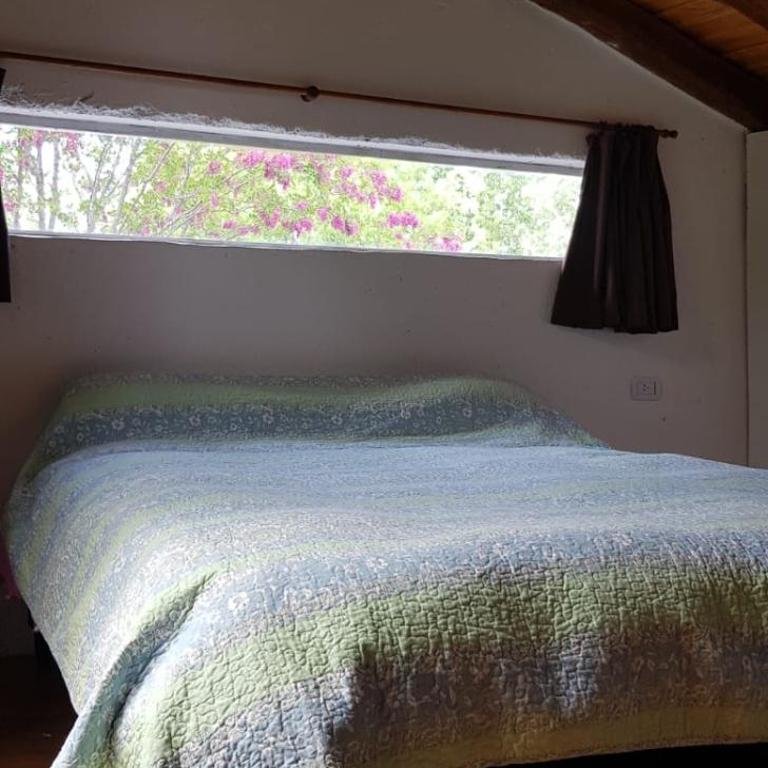LAS GARDENIAS Cabañas - One-Bedroom Cottage - 7