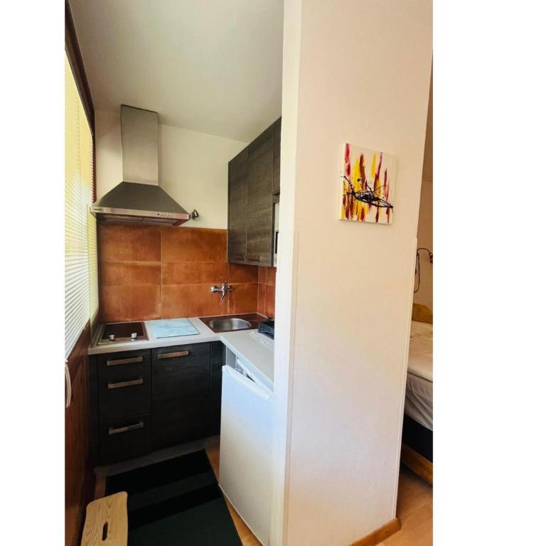 Apartment LUCKY 13 incl Summercard Zell am See Kaprun - Studio-Apartment - 6