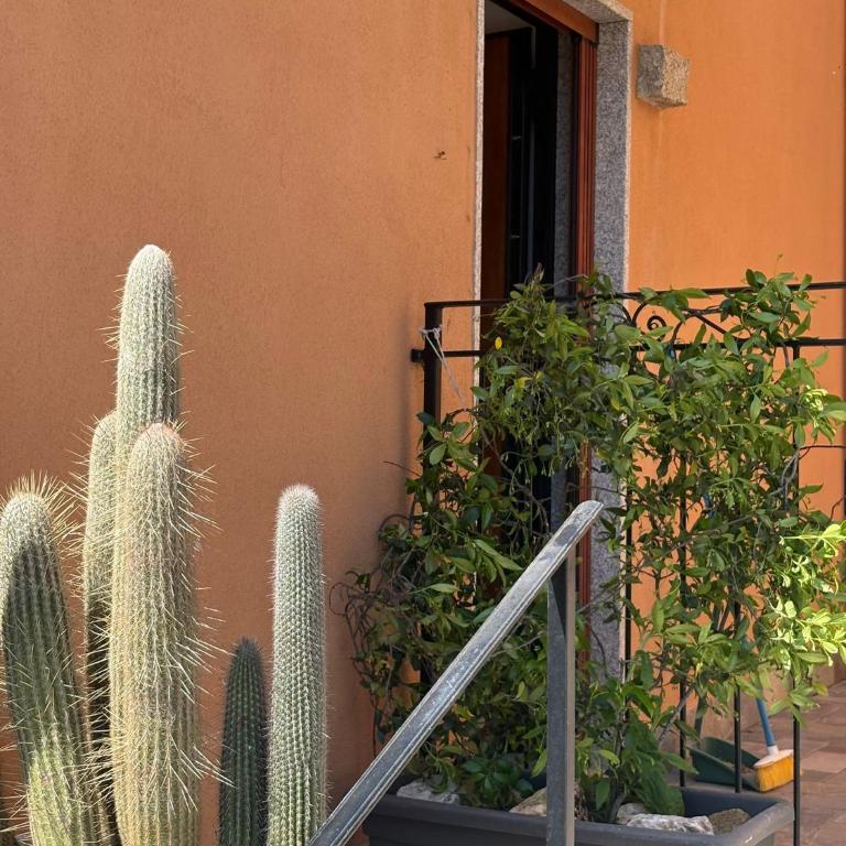 Splendido Appartamento San Teodoro Budditogliu con Jacuzzi - Appartamento con 2 Camere da Letto - 13
