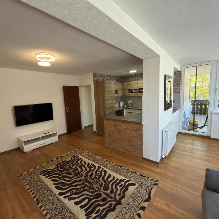 Sasha - One-Bedroom Apartment - 2