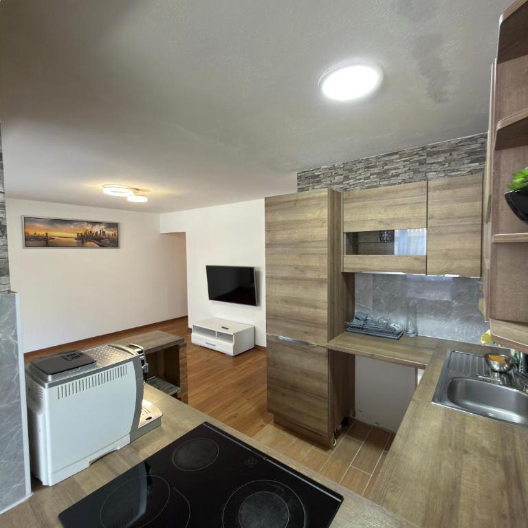 Sasha - One-Bedroom Apartment - 6