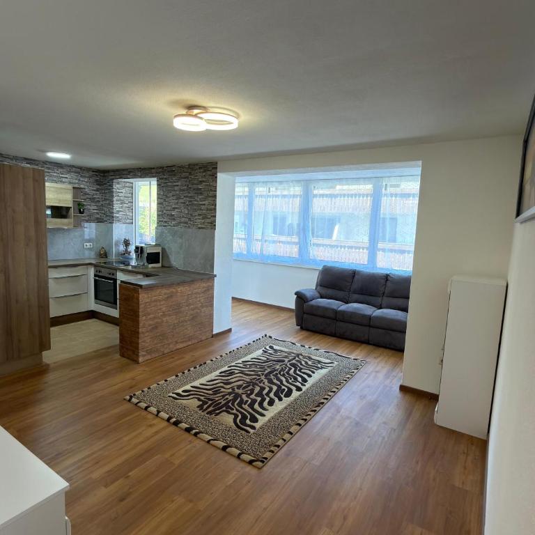 Sasha - One-Bedroom Apartment - 1