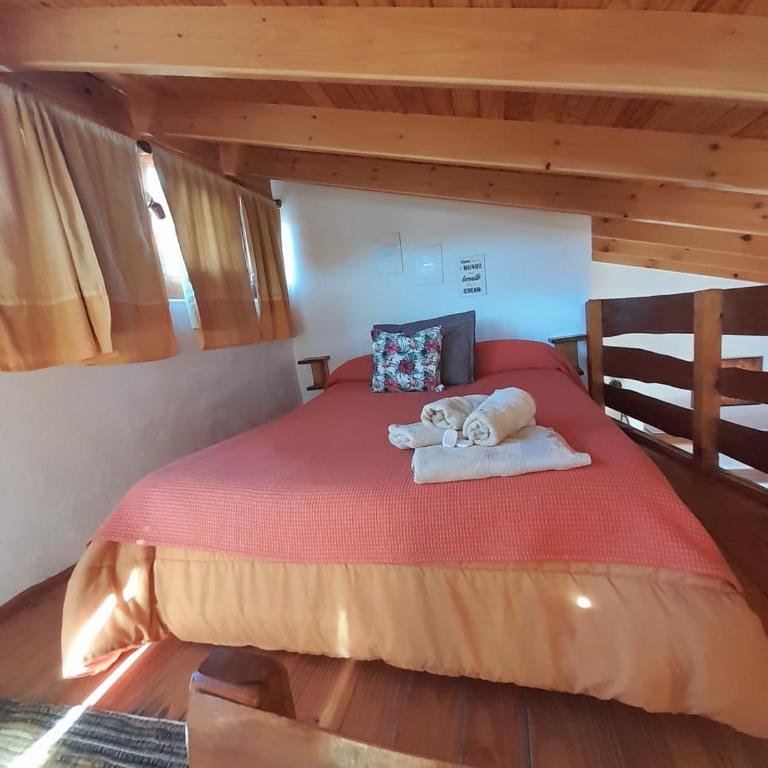 Del Sol a la Montaña EcoLodge - Turismo Consciente - Apartment - 5
