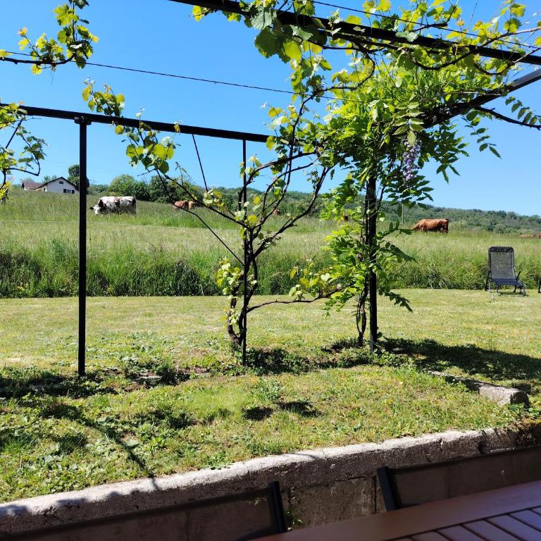 Gite de Curticella Proche Lac et Chanaz - Maison 2 Chambres - 22