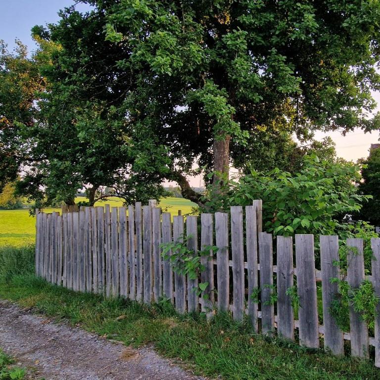 145 qm Ferienwohnung Beckenhölzle in ruhiger Lage mit Garten und 3 Schlafzimmern - Superior Apartment - 22