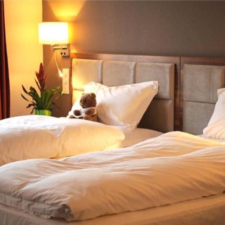 Falken am Rotsee - Doppelzimmer - 1