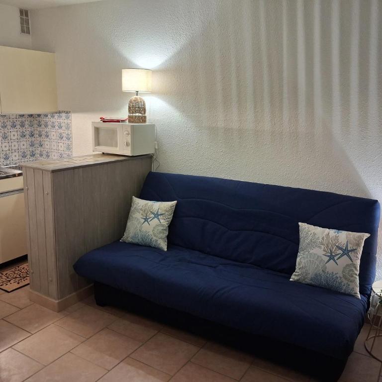 Studio classé 1 étoile RDC piscine et parking proche plage Grazel - Appartamento con 1 Camera da Letto - 10