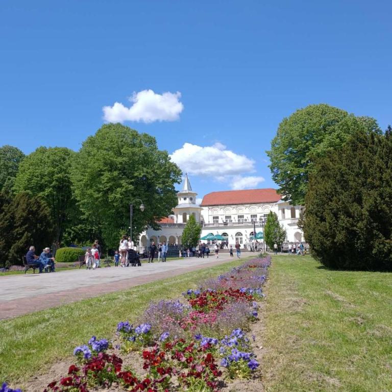 Studio Arija -na par koraka od PARKA - Banja Koviljača - Studio - 20