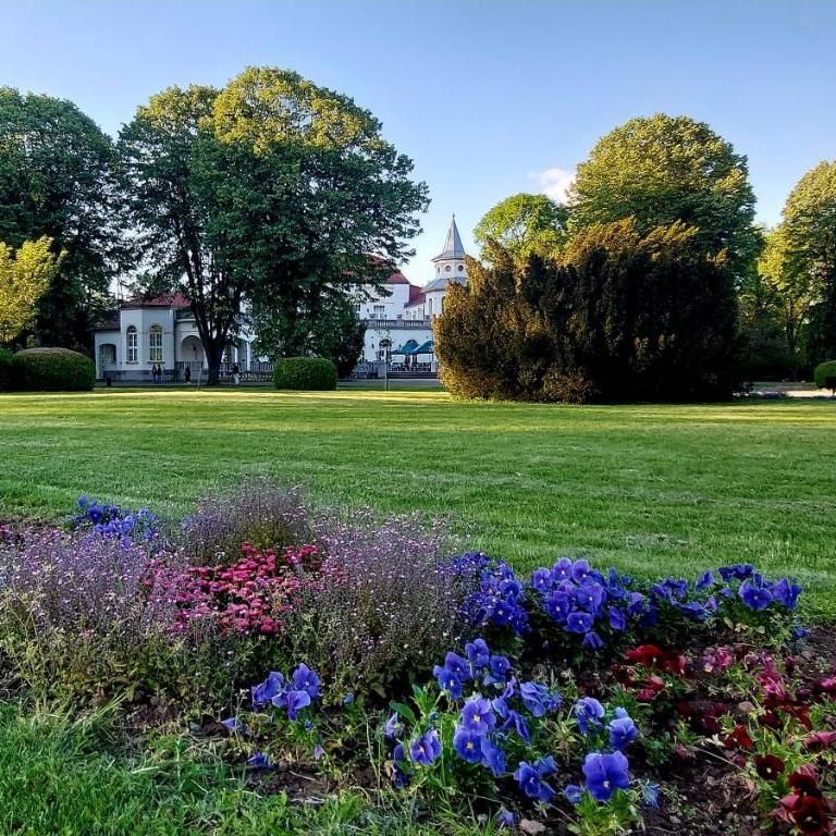 Villa Ilona Apartment - Apartman sa 1 Spavaćom Sobom - 13