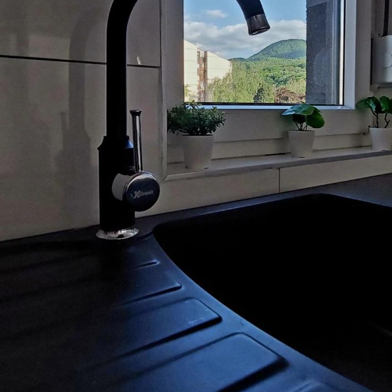 Villa Ilona Apartment - Apartman sa 1 Spavaćom Sobom - 34