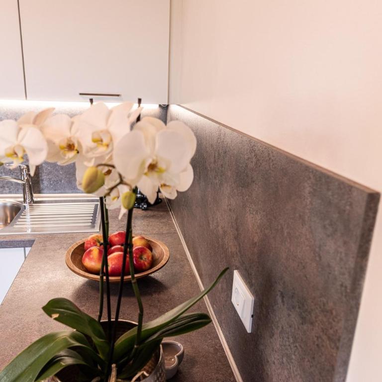 Haus Lohengrin Ferienwohnung 1 - Superior One-Bedroom Apartment with Balcony - 23