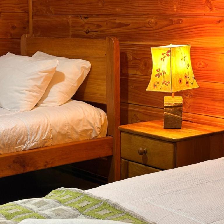 Alpes Hotel - Twin Room - 7